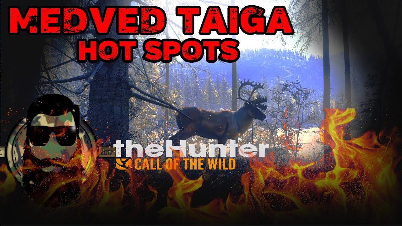 MEDVED TAIGA Animal Hot Spots! Best Animal Locations on the NEW DLC!