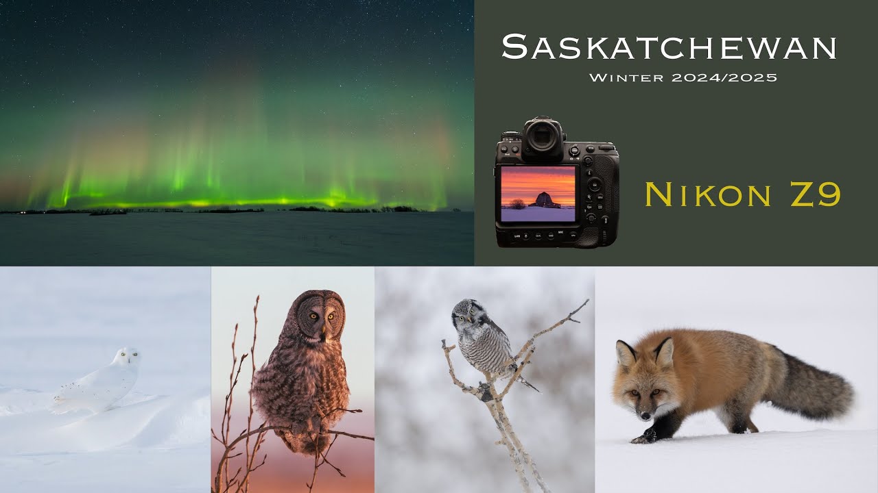 Winter in Saskatchewan Canada - 2024/2025