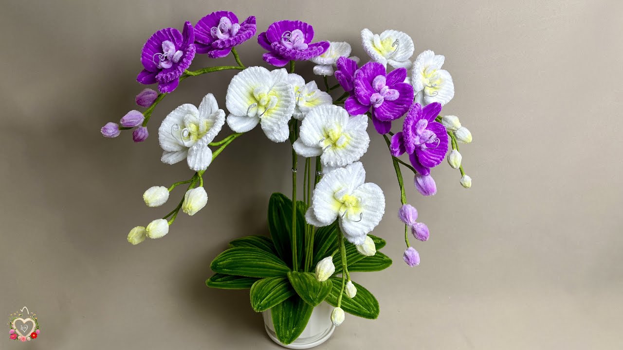 How to make and arrange super beautiful pots of Phalaenopsis orchids with Pipe Cleaner | Fuzzy Wire
