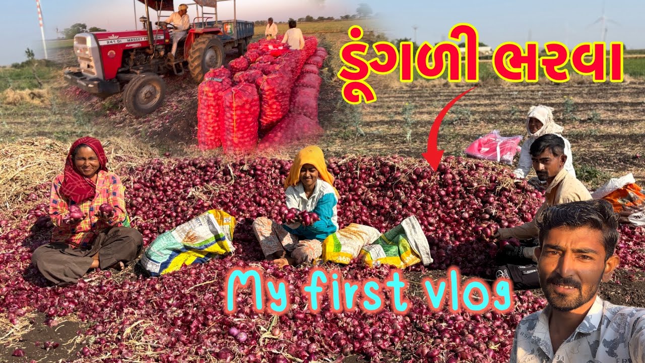 ડૂંગળી ભરવા આવ્યા Dogli ￼ Barva ￼ Gaya