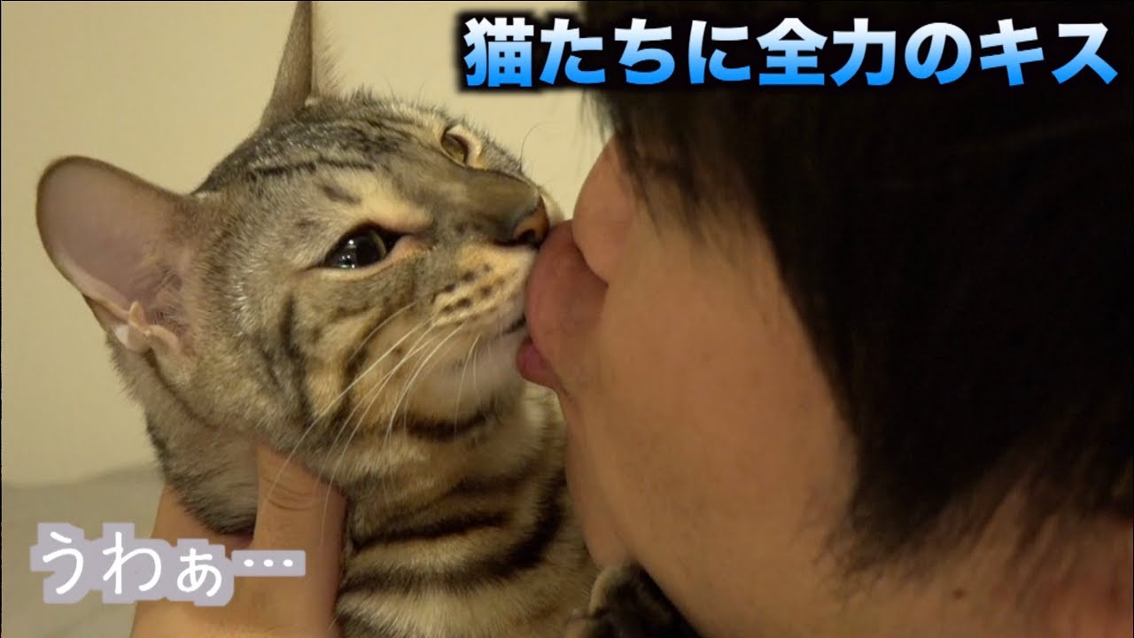 ルトとロゼに全力のキスしたら殴られた・・・