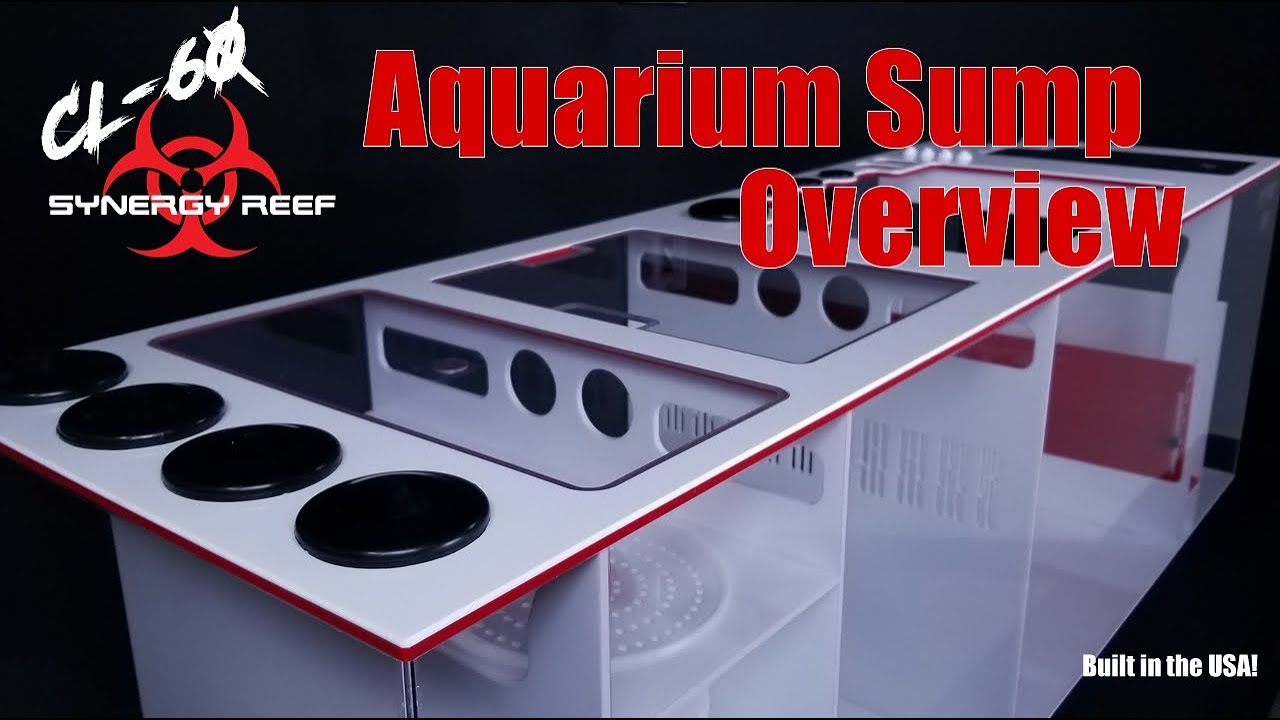 Synergy Reef CL 60 Red White Sump
