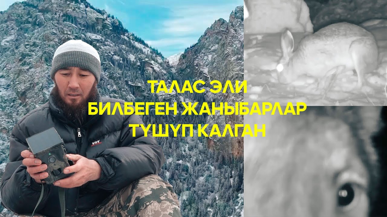 Жаратылыштын жан сакчысы | 