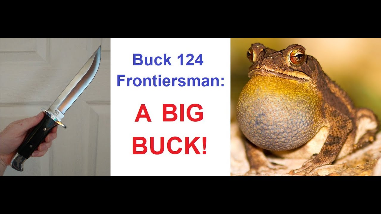Buck 124 Frontiersman: A BIG BUCK!