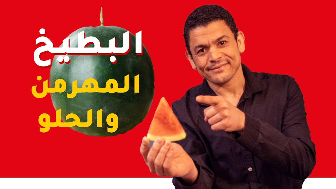 ازاي تعرف البطيخة الحلوة | علم تيوب