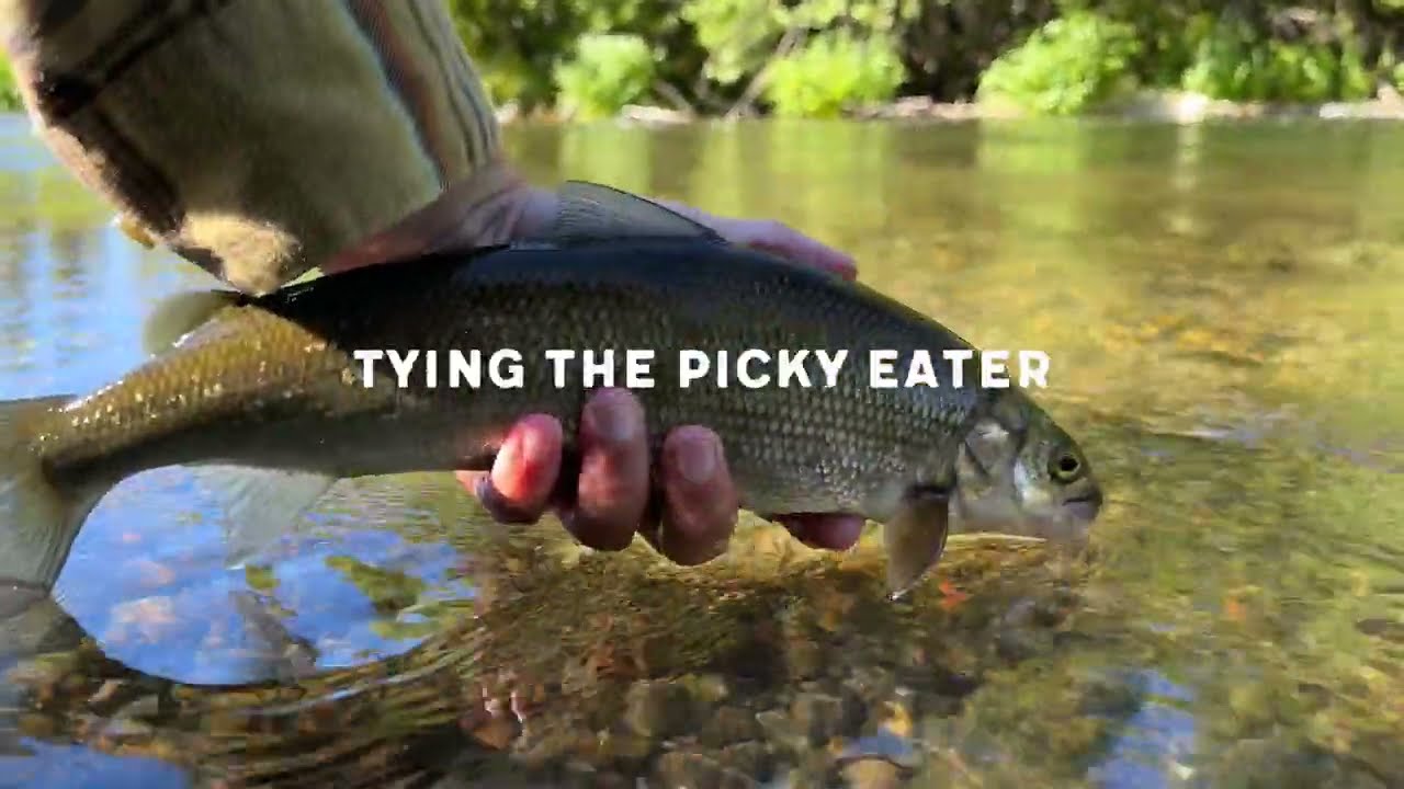 This Euro Nymph Will Catch You More Fish! // The Picky Eater Umpqua Signature Fly Pattern