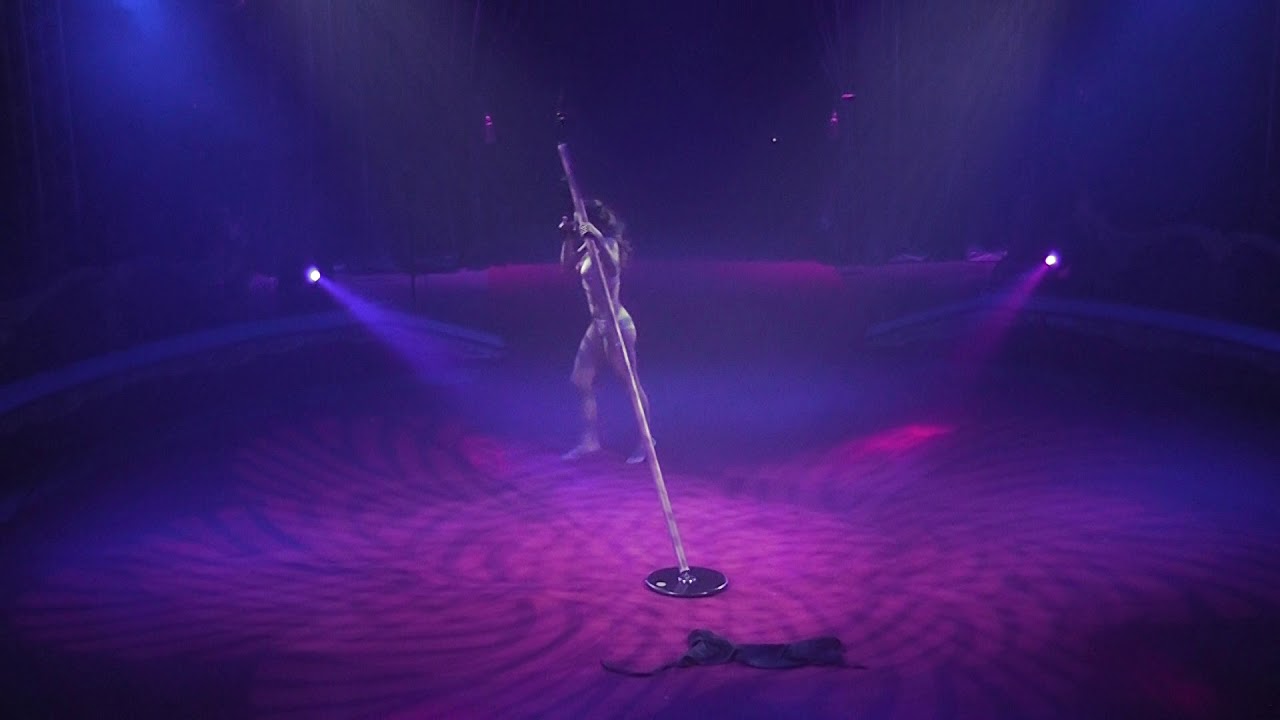 Diana Boiachin - Aerial Pole act