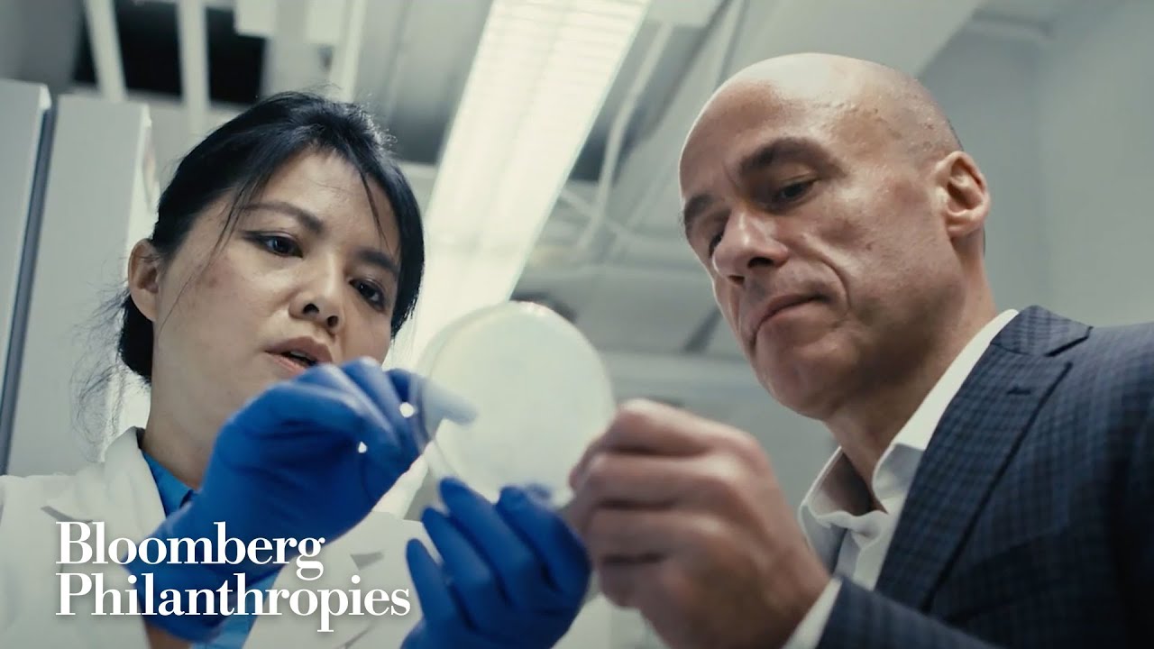 The War on Malaria | Johns Hopkins Malaria Research Institute | Bloomberg Philanthropies