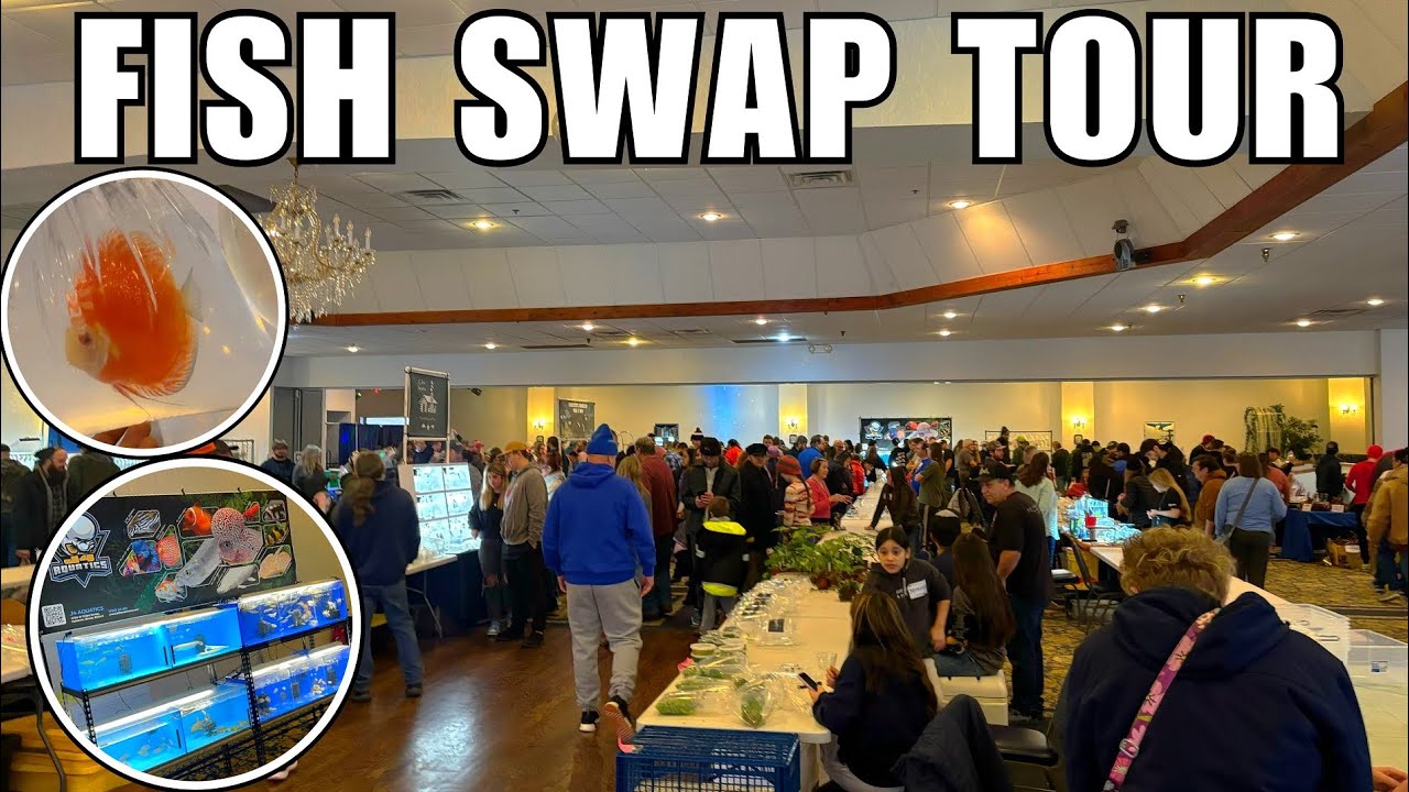 Is This The BEST FISH SWAP In THE WORLD?!! *Tour*