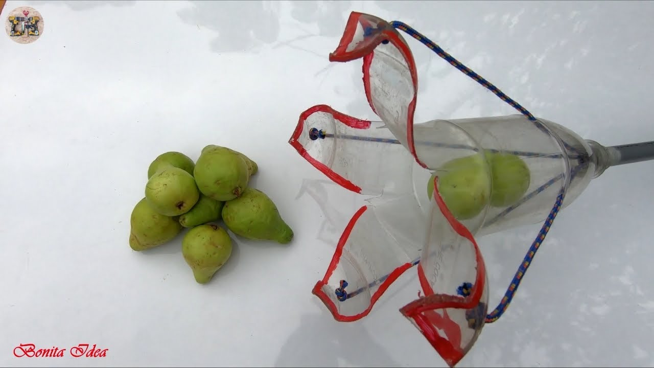 Como hacer un recolector de frutas con botella descartable. | homemade fruit picker.
