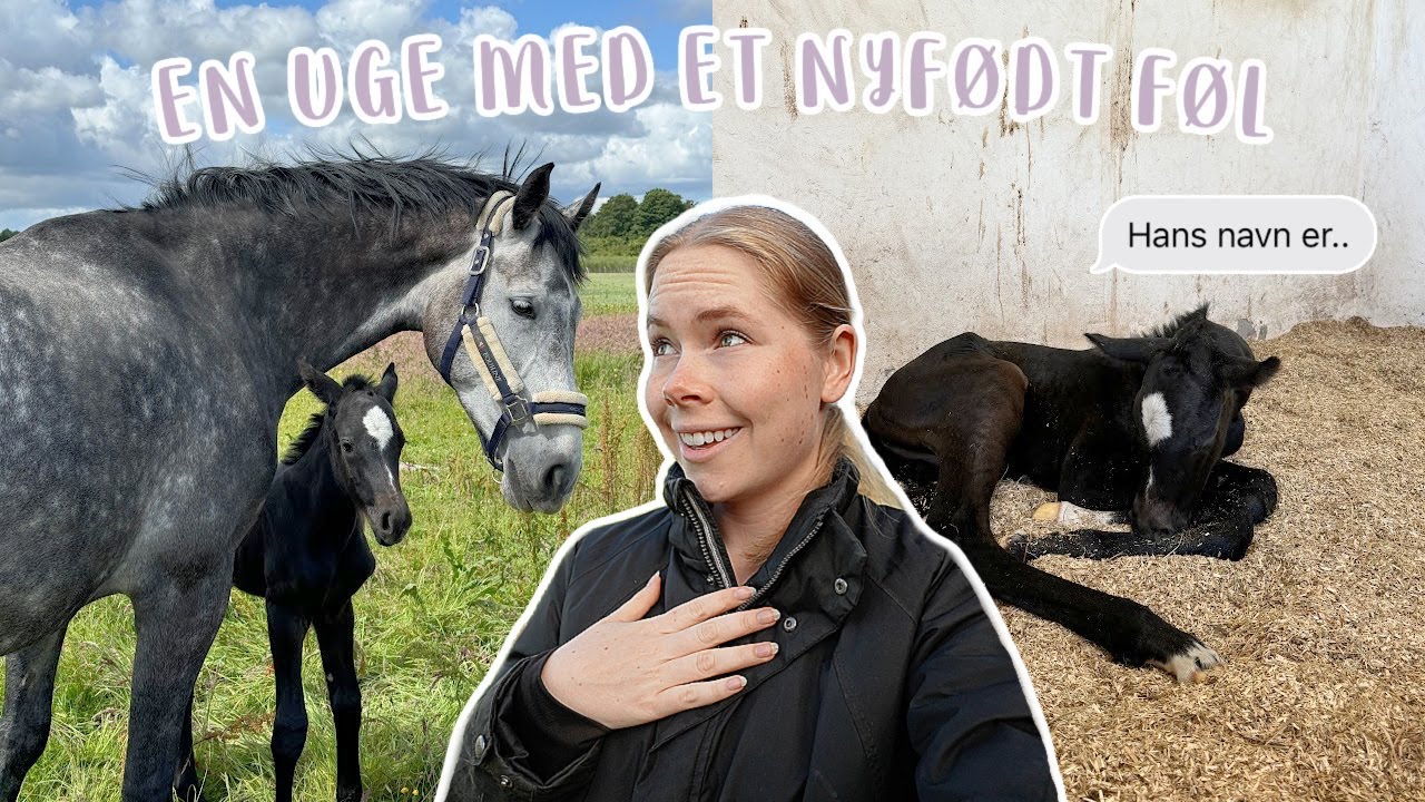 F&Oslash;RSTE VLOG MED VORES F&Oslash;L *afsl&oslash;rer hans navn*