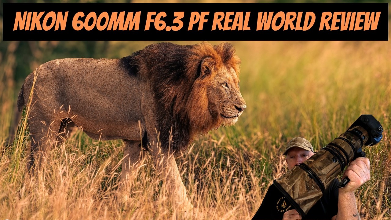 On Safari With The Nikon 600mm F6.3 PF