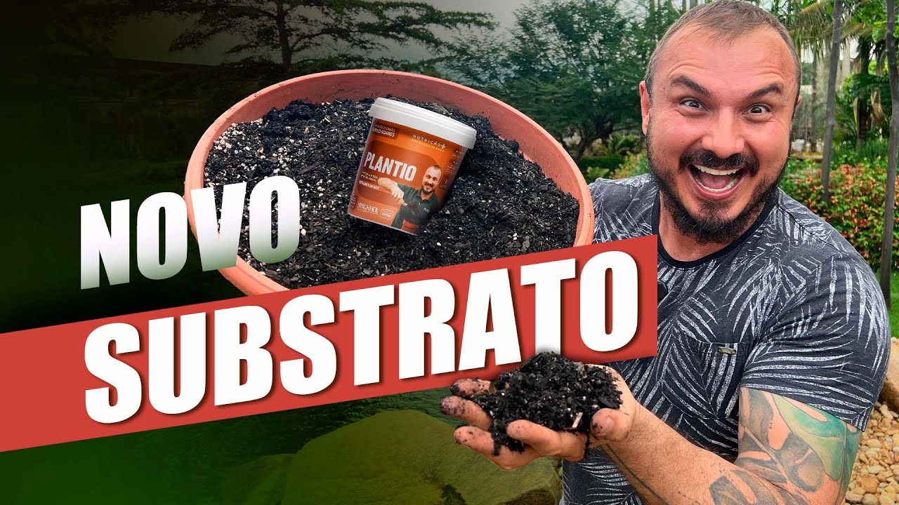 A NOVA RECEITA de SUBSTRATO do Murilo Soares | Segredo Revelado para CULTIVO