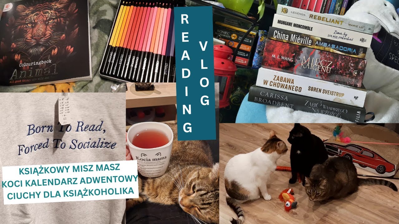 📚 READING VLOG 📚 - czytam starocie, koci kalendarz adwentowy, gadżety książkoholika