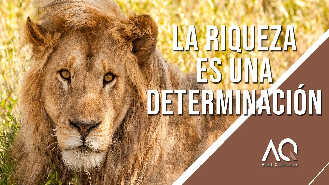 La Riqueza Es Una Determinaci&oacute;n - Abel Qui&ntilde;onez