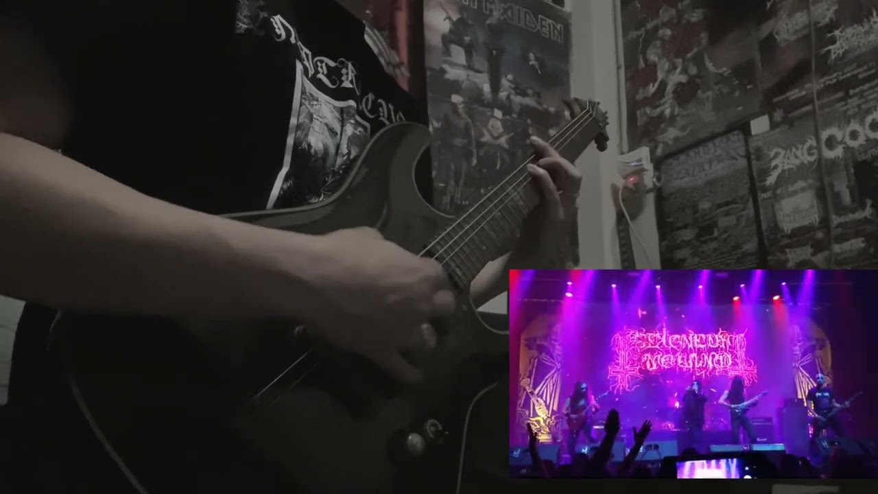 Seigneur voland - aigle.conquerant Guitarcover