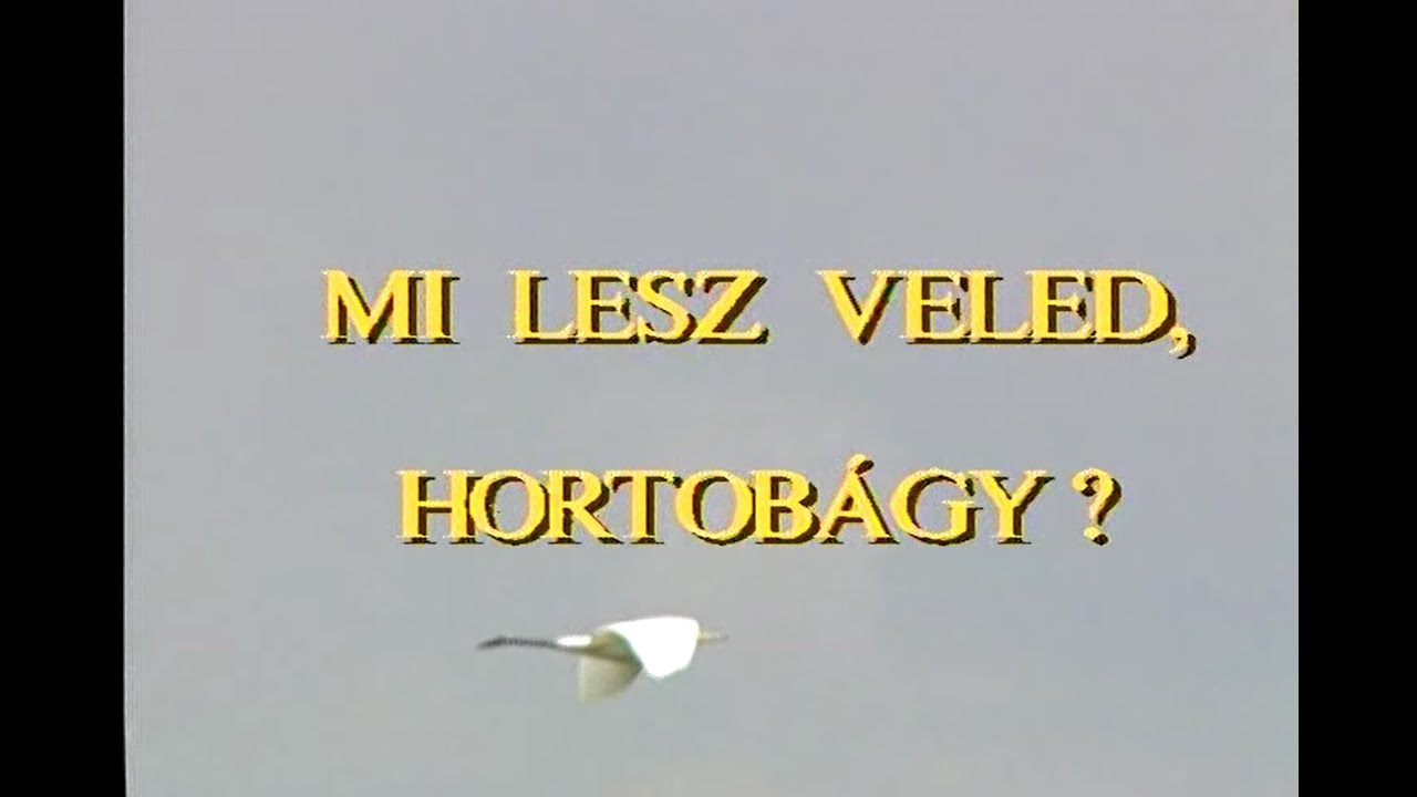 Mi lesz veled, Hortobágy?