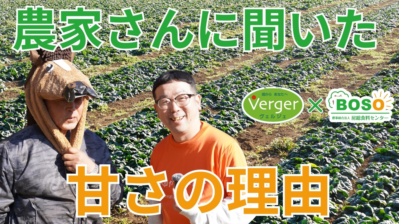 【縮みほうれん草】なぜ甘い？農家さんに聞いてきました🥬