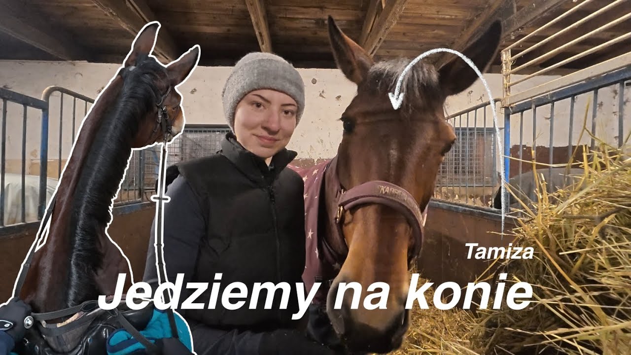 Jedziemy na konie: trening ujeżdżeniowy