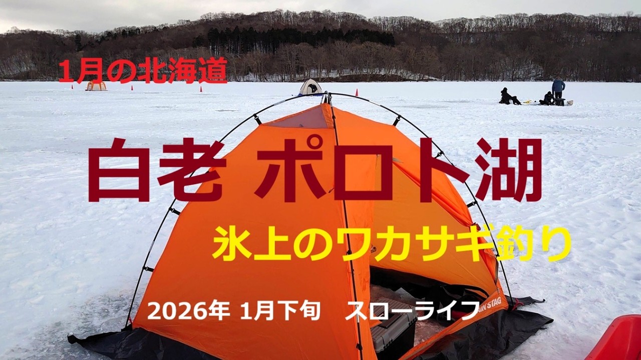 2026年1月下旬　白老ポロト湖～氷上のワカサギ釣り～