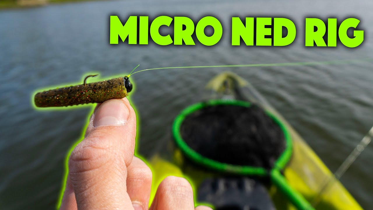 Ловите любую рыбу с помощью оснастки MICRO NED!