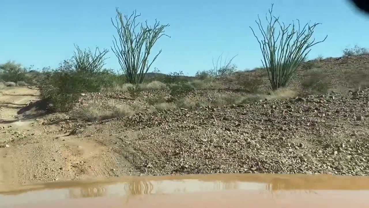 California & Arizona 2022 - in search of the Bradshaw Trail