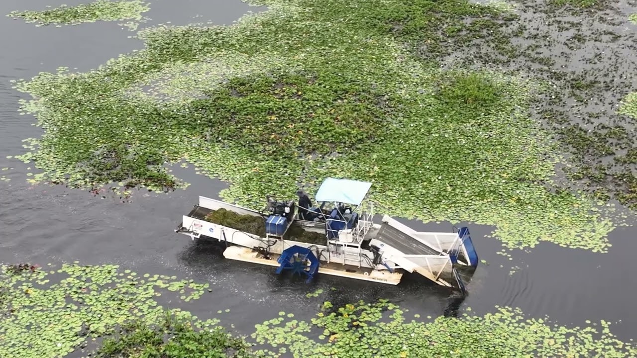 The  Duck - Week Cutter 2 - Drone view (NO Sound)