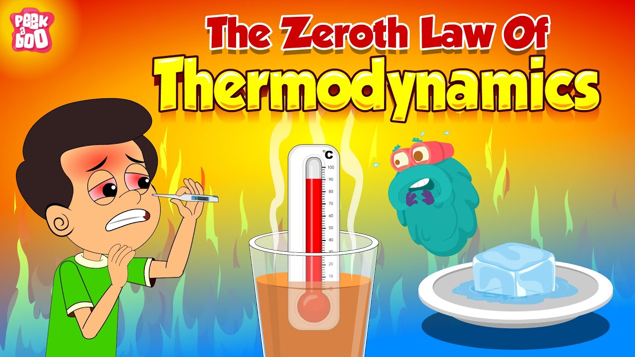 The Zeroth Law of Thermodynamics with Examples | What is Thermal Equilibrium? | Dr. Binocs Show