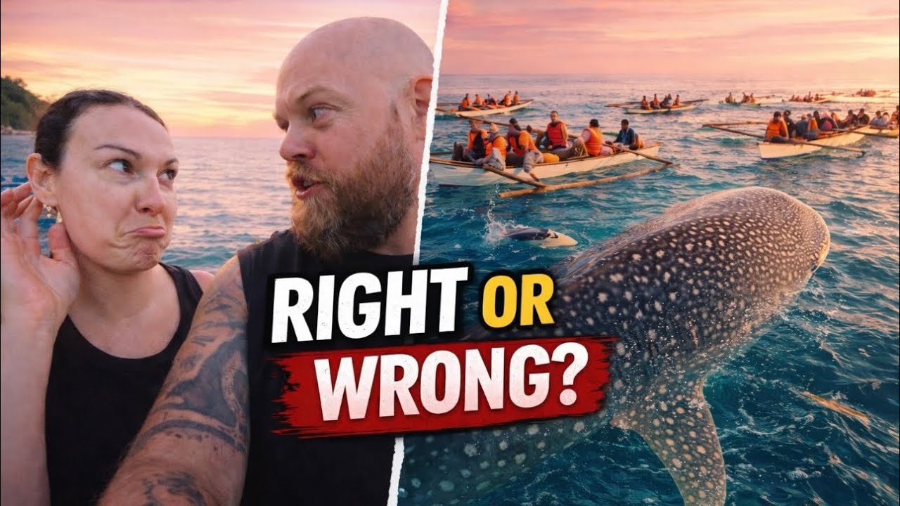 We Questioned Whale Shark Tourism in Oslob — And It Changed Our View  