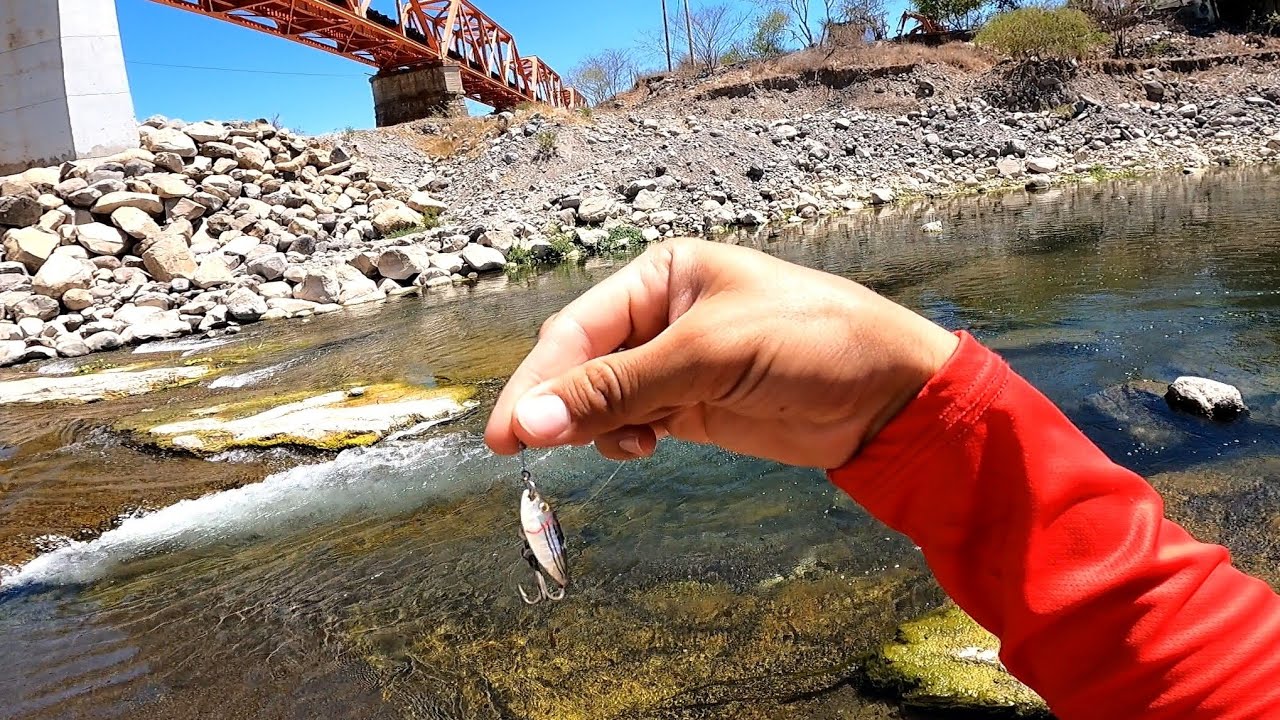 Esta cucharita me sorprendi&oacute; // Pesca Ultra Ligera en Rio