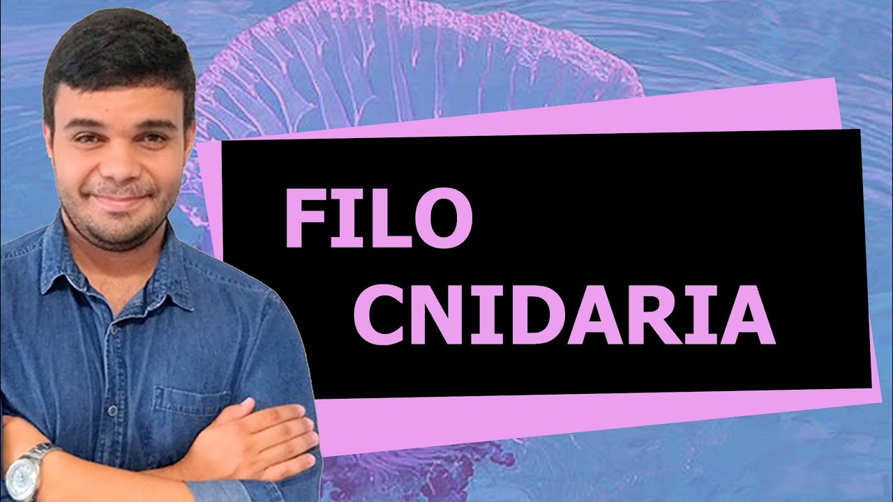FILO CNIDARIA | ZOOLOGIA | Professor Gabriel Soares