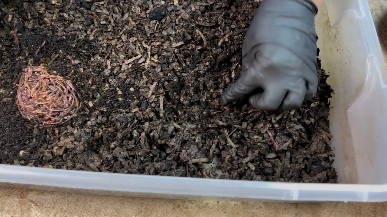 Moving Worms To Get the Job Done