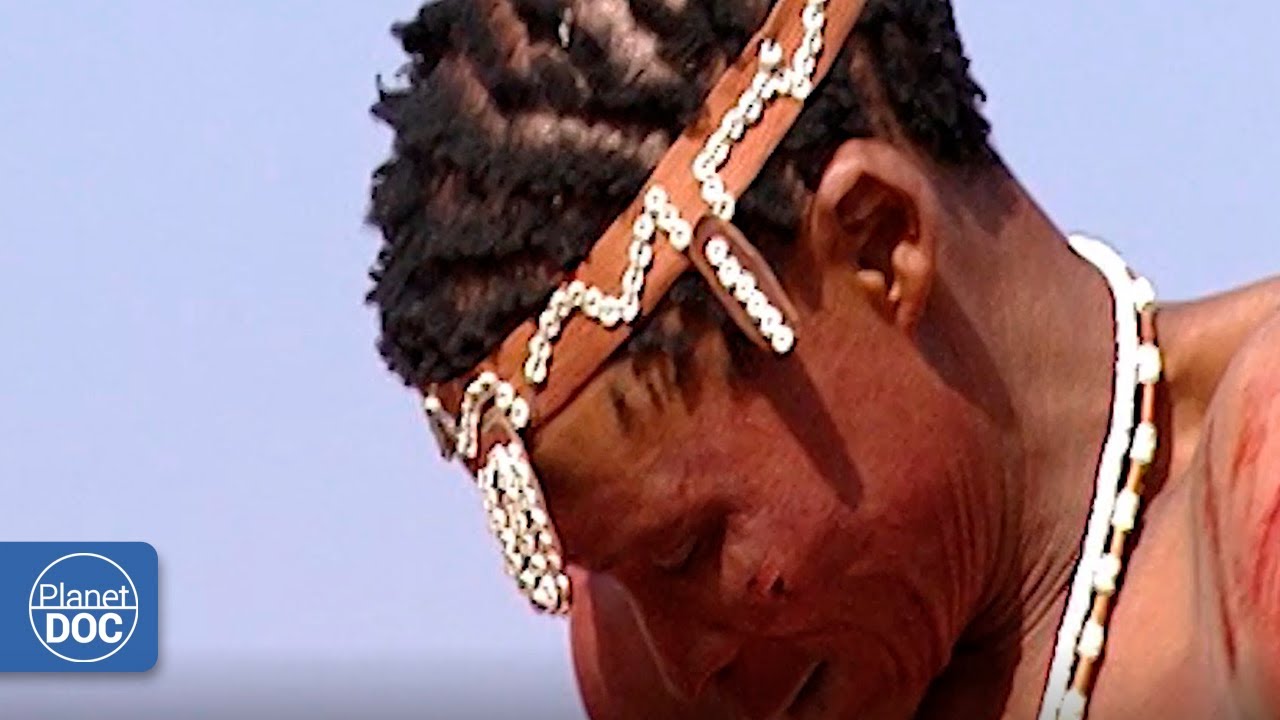Supervivientes del Planeta Tierra. Predadores (Documental completo)