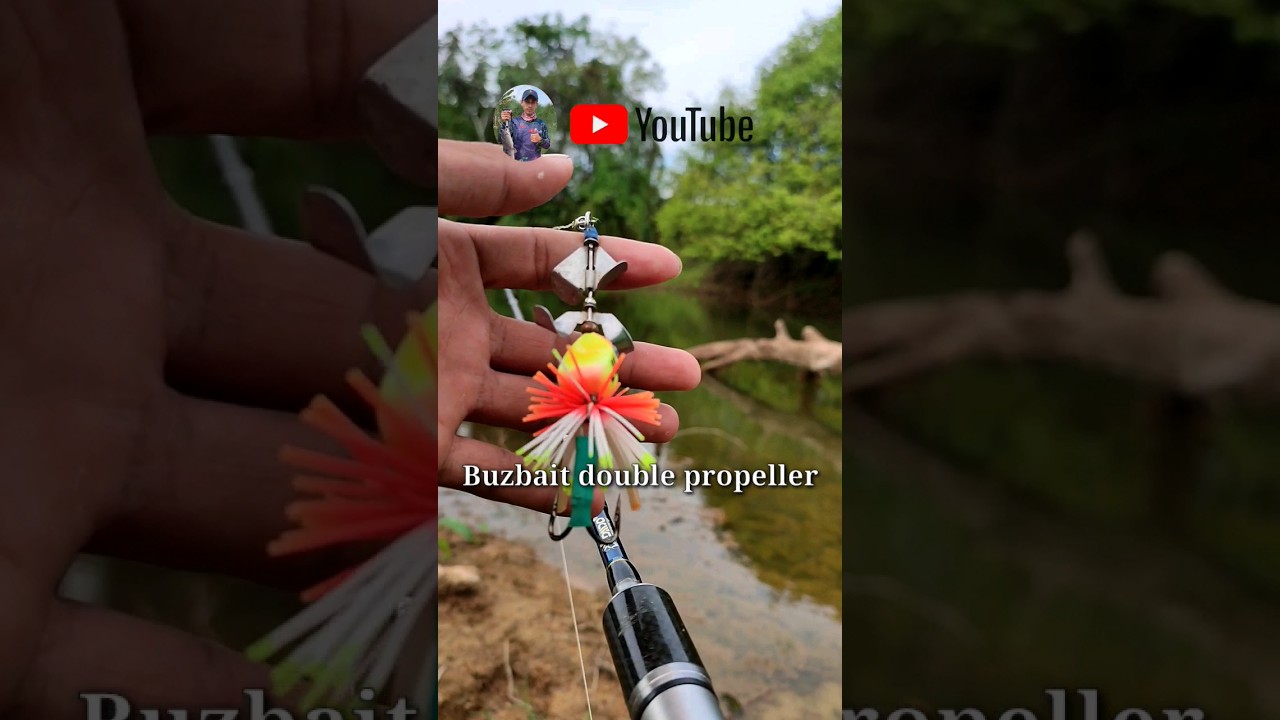 Buzzbait dua propeler | cocok untuk toman dan Gabus #shortsfeed #fishing