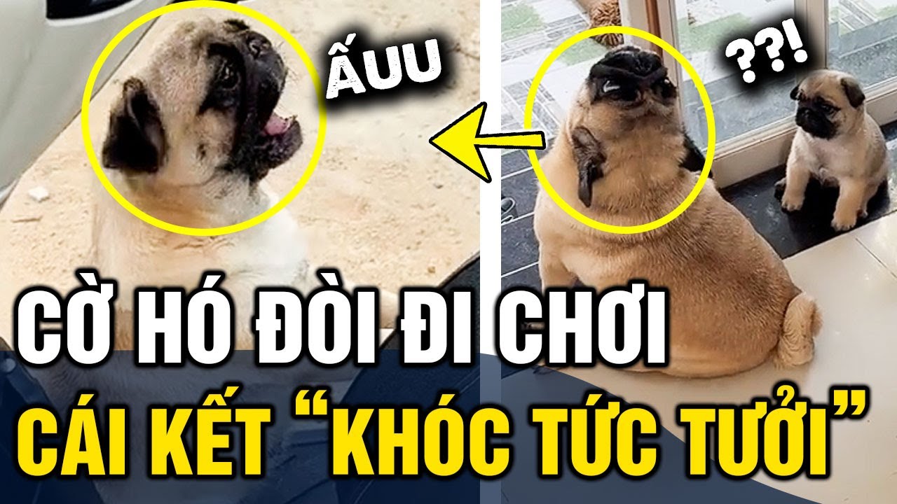Làm mẹ rồi mà vẫn nghĩ mình 'BÉ BỎNG', cờ hó đòi đi chơi không được liền KHÓC TỨC TƯỞI | Tin 3 Phút