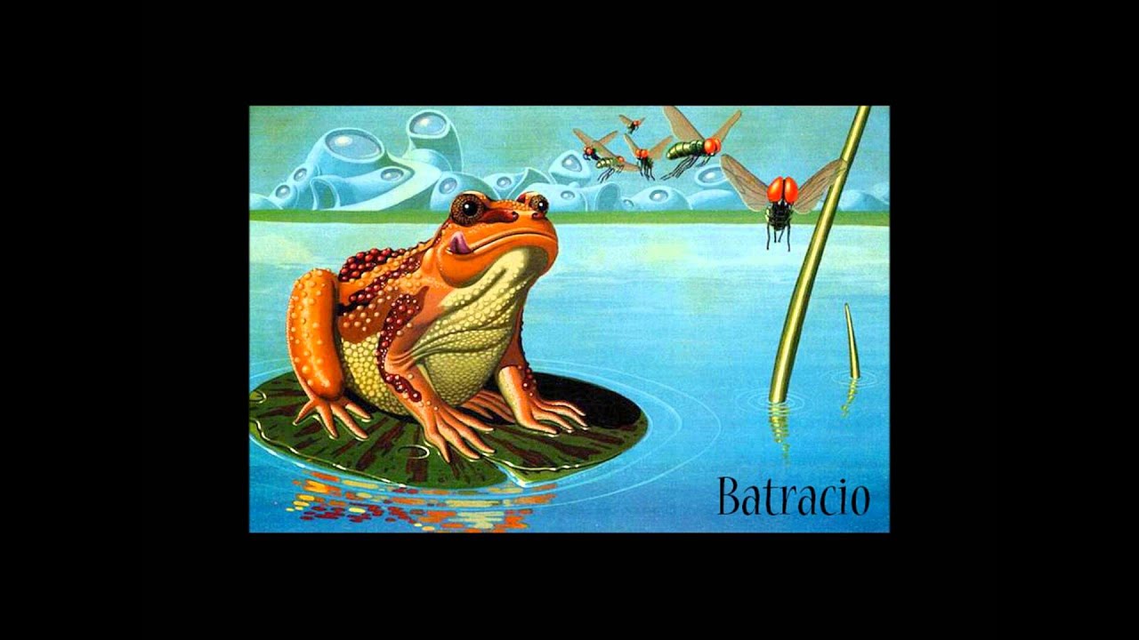 Batracio - 