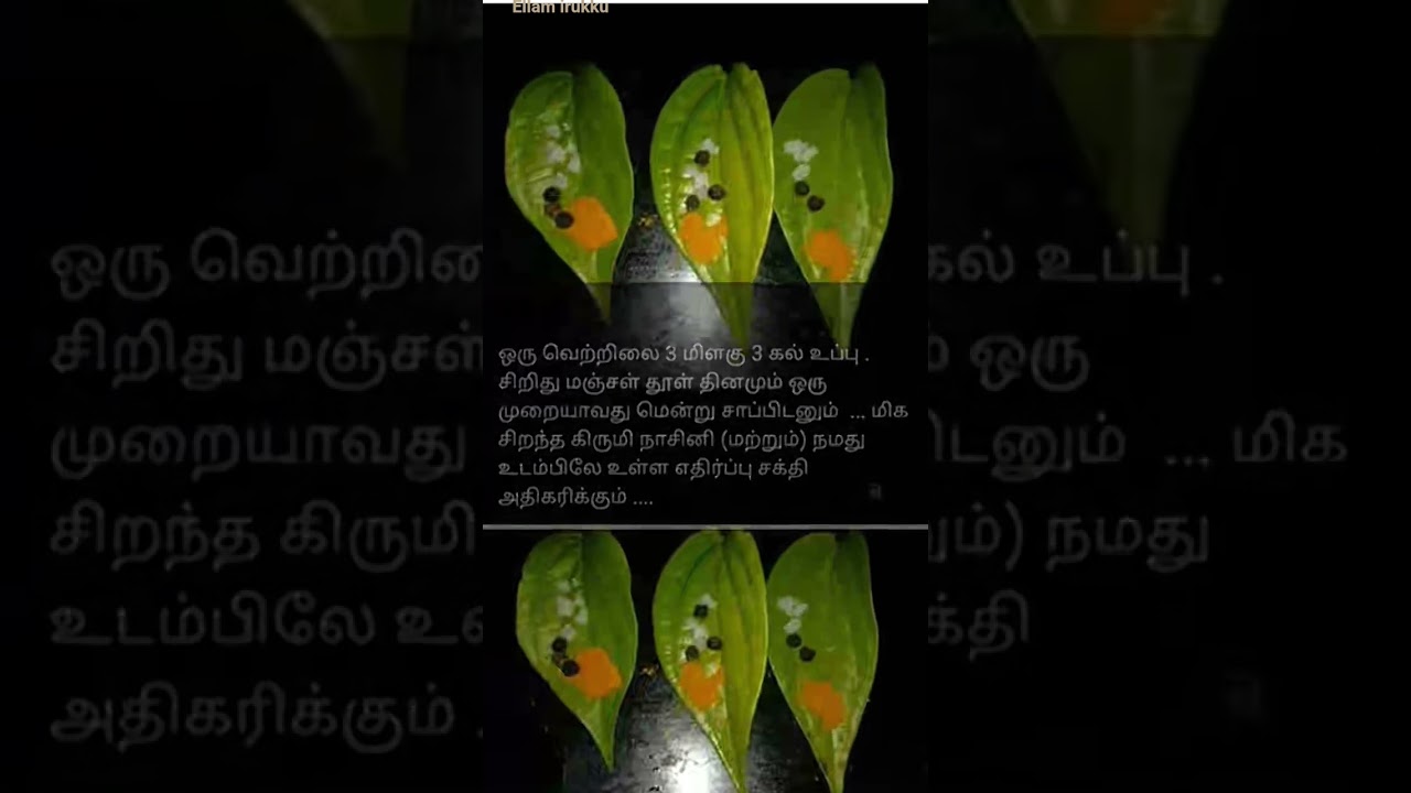 health Tips|arockiam topics|Life Concepts
