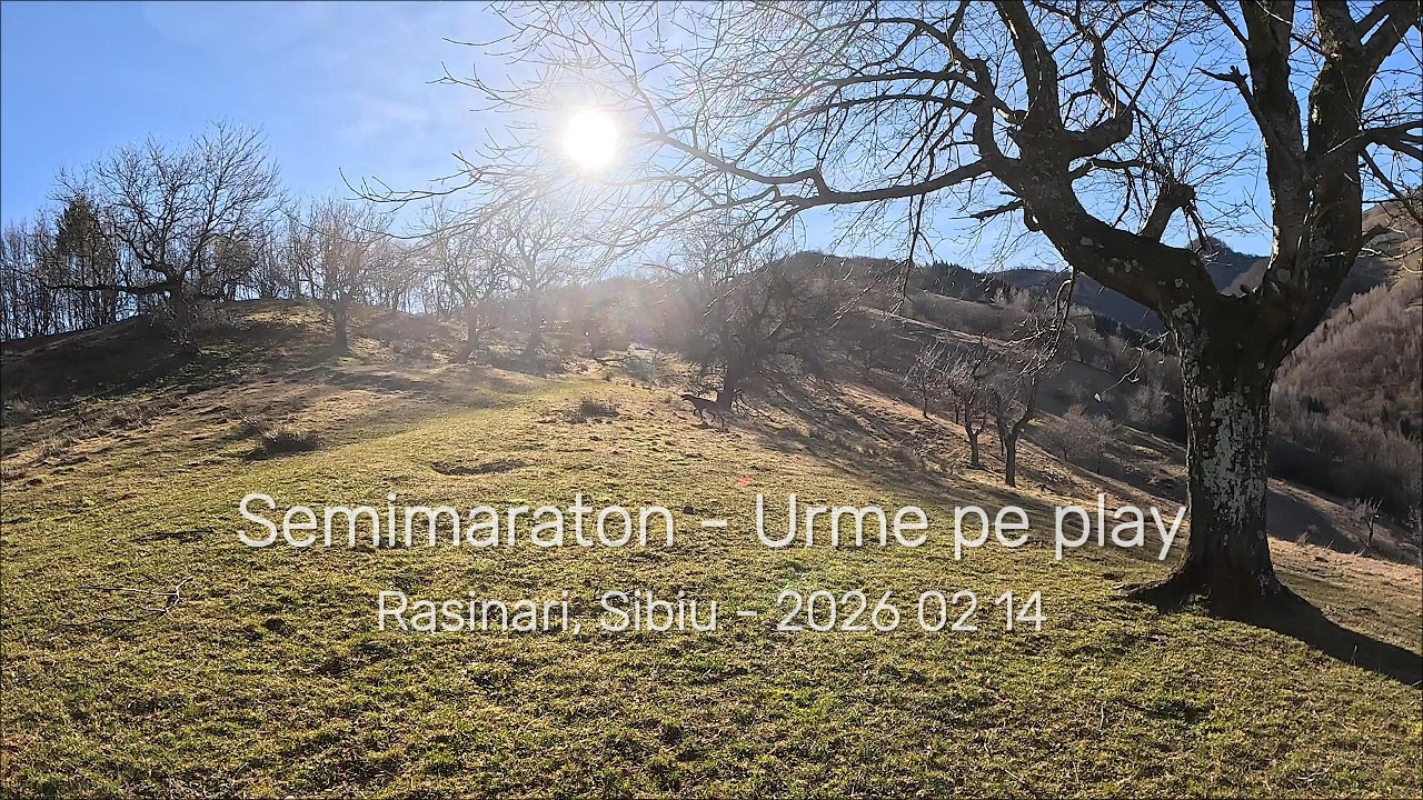 20260214: Rasinari - Alergare traseu semimaraton UPP