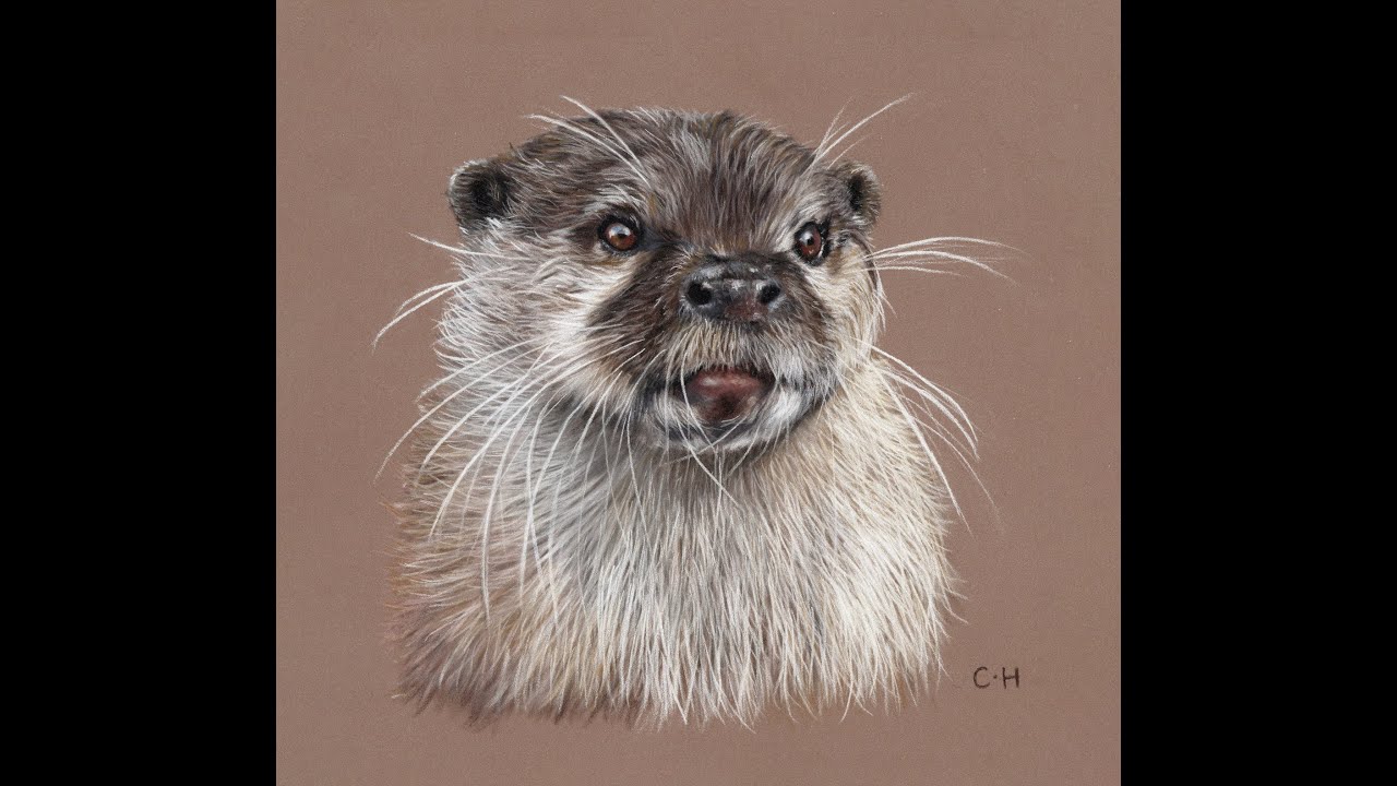 Oliver - Pastel Pencils Tutorial - Part 2