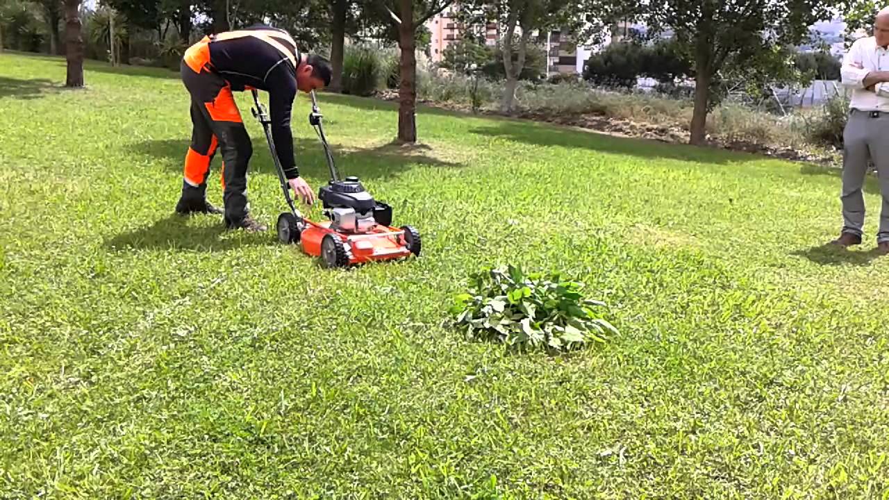 Demonstração em Odivelas - Corta Relva HUSQVARNA LB 553 S Mulching