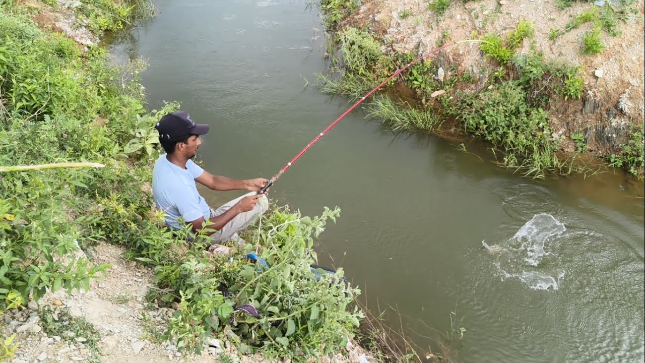 The Truth About Riskey Place Fishing By Tilapia Fishes In Trending Boy Best Place In This That Will