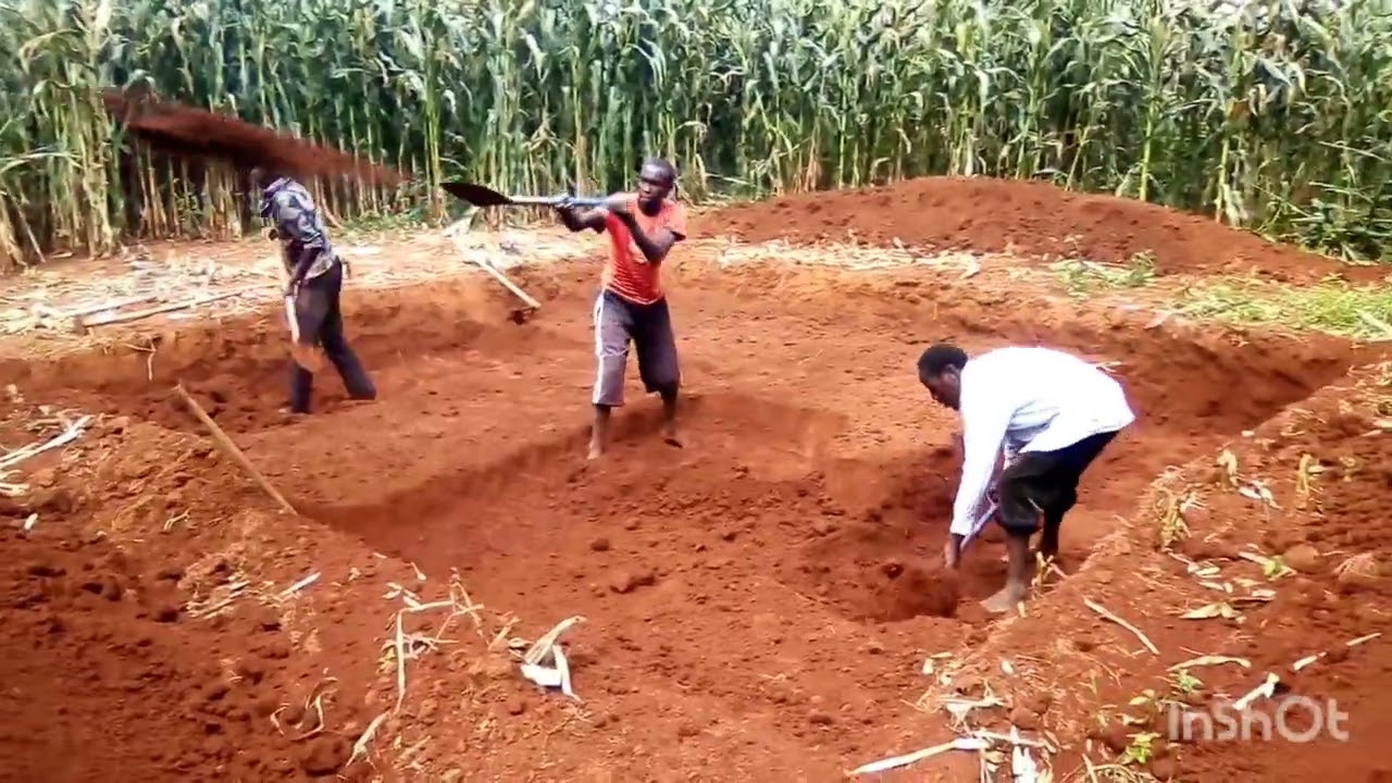 part 1:small scale silage making preparation: How to dig the silage pit by hand
