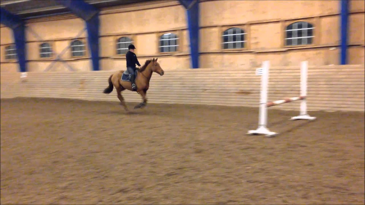 Karun hoppning utan huvudlag 23/11