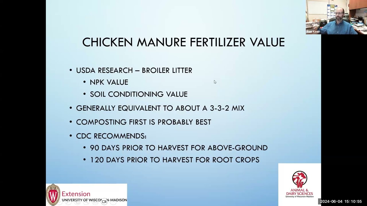 Common concerns with backyard or urban poultry
