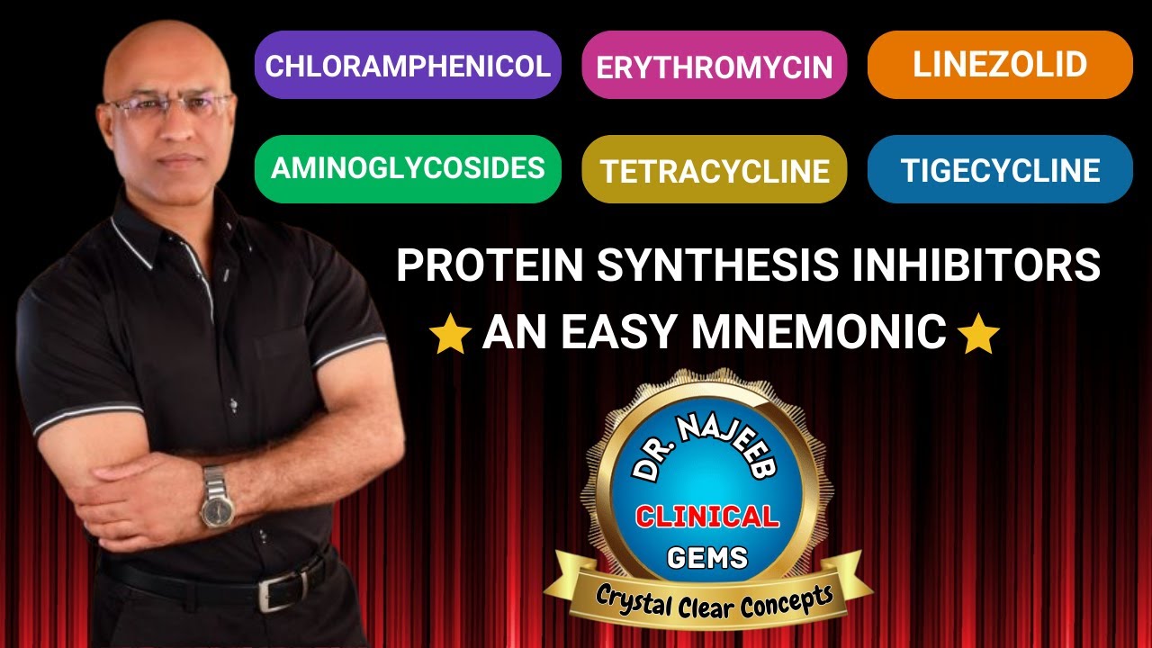 Antibiotics | Protein Synthesis Inhibitors | Pharmacology💊