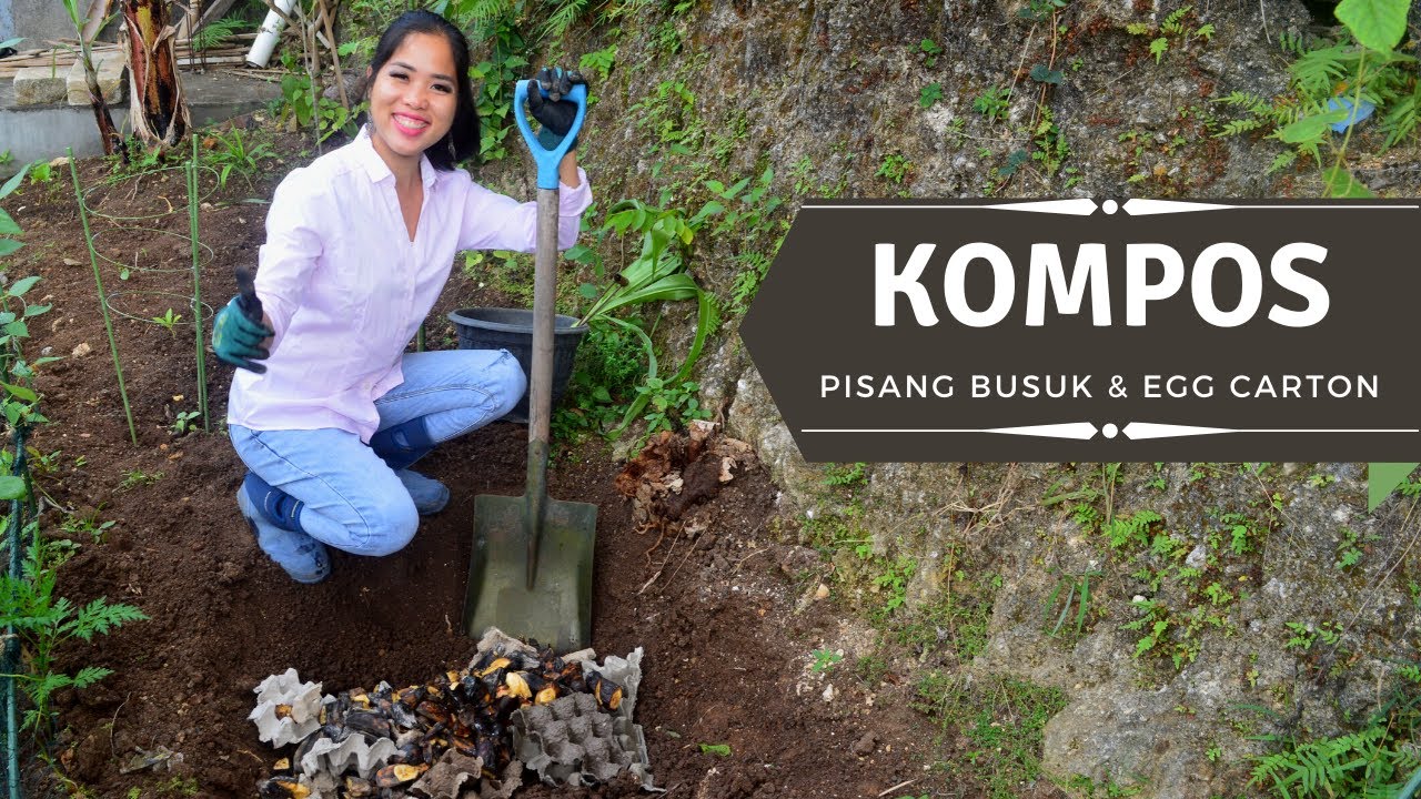 Buat Kompos Bahan Egg carton dan Pisang Busuk| Cacing Happy Tanaman Happy Saya Happy