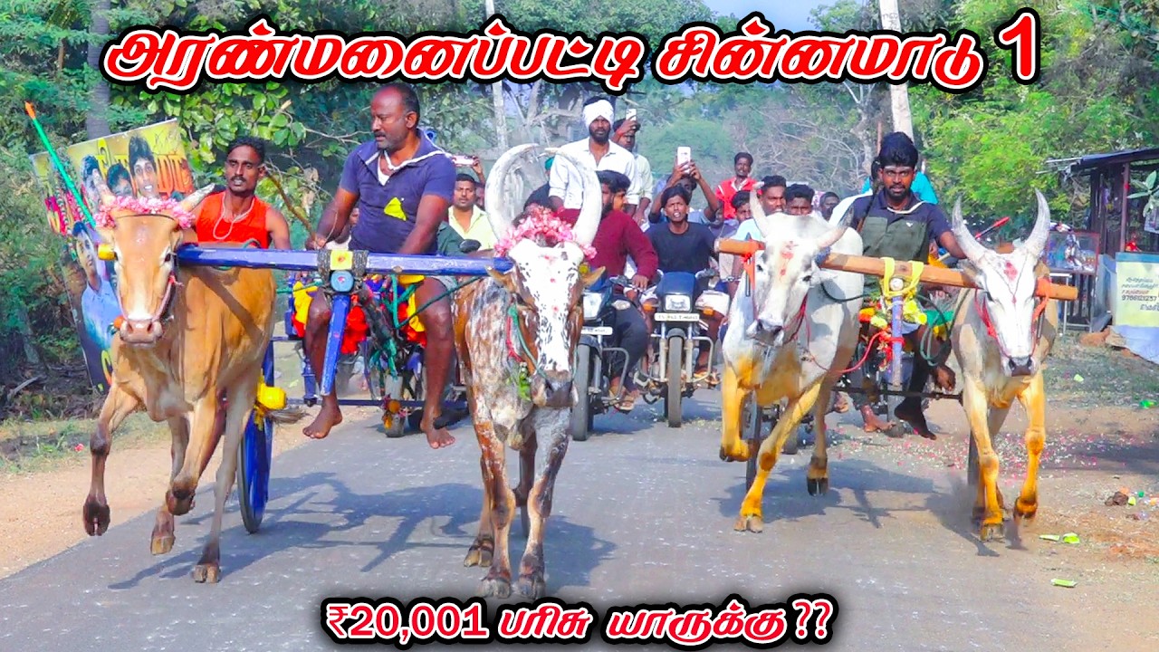 1அரண்மனைப்பட்டி-சின்னமாடு-பந்தயம்_17.02.2026_V_Photography