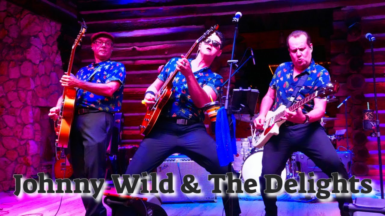 Johnny Wild & The Delights 🎸 Surfin' USA 🎸 The Villages FL