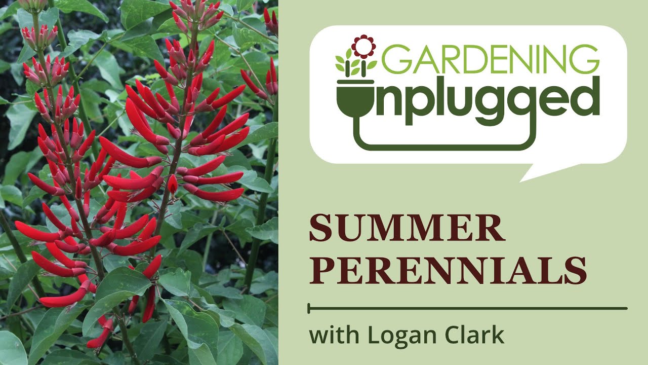 Gardening Unplugged - Summer Perennials at Juniper Level Botanic Garden with Logan Clark