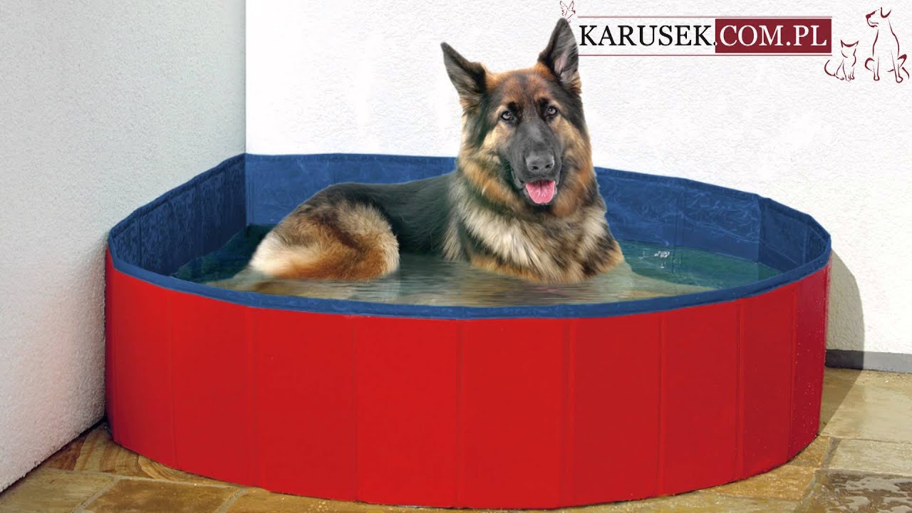 Karlie Doggy Pool - basen dla psa, odporny na psie pazury IDEALNY NA LATO!